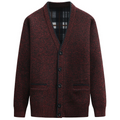 Button Front V-Neck Cardigan for Men - Long Sleeve - Image 4