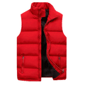 Puffer Vest for Men - Stand Collar - Image 4