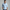 Long Sleeve Button-Down Shirt for Men - Collared - Image 1