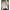 Crewneck Embellished Sweater for Women - Relaxed - Image 5