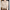 Button-Down Cardigan Sweater for Women - Long Sleeve - Image 8