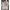 Crewneck Embellished Sweater for Women - Relaxed - Image 22