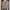 Button-Down Cardigan Sweater for Women - Long Sleeve - Image 13
