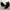 Pointed Toe Ankle Boots for Women - Buckle Strap - Image 19