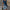 V-Neck Shift Dress for women - Short Sleeve - Floral Print Knee-Length Casual - Image 1