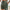 Corduroy Casual Shorts for Men - Drawstring Relaxed Fit - Patch Detail Knee Length - Image 8