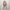 Trench Coat Coat for Women - Long Coat - Image 1
