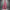Floral Wrap Maxi Dress for women - V-Neck Elbow Sleeve - High Slit Pockets - Image 1