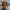 Crew Neck Sweater for Men - Long Sleeve - Image 2
