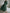 A-Line Midi Shirt Dress for Women - Long Sleeve Belted - Image 8