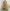 Floral Midi Dress for Women - Short Sleeve Round Neck - Empire Waist Pockets - Image 2