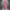 Striped A-Line Midi Dress for Women - Boat Neck Pockets - Image 1