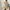 Ribbed A-Line Midi Dress for Women - Round Neck - Image 4