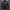 Biker Jacket for Men - Quilted Shoulder - Image 6