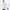 Puffer Coat for Women - Fur Hood - Image 9