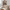 Knit Loungewear Set for Women - Relaxed - Image 2