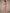 Floral A-Line Midi Dress for women - V-Neck Ruffle Sleeve - Smocked Waist - Sheer - Image 4