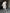 Long Coat for Women - Shearling Trim - Image 5