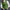 Tweed Suit Vest for Men - Notch Lapel - Image 5