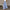 Wide Leg Palazzo Pants for women - High Waisted Drawstring Waist - Pockets Relaxed Fit - Image 4