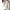Turtleneck Sweater for Women - Long Sleeve - Image 1