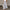 Wide Leg Palazzo Pants for women - High Waisted Drawstring Waist - Pockets Relaxed Fit - Image 3