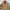 Harrington Jacket for Men - Full Zip - Image 20