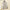 Relaxed Fit Vest for Women - Button Front - Image 2