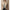 Quilted Collar Jacket for Women - Button-Down Hip Length - Image 7