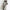Hooded Long Coat for Women - Button Front - Image 1