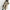 Hooded Long Coat for Women - Button Front - Image 5