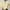 Pullover Hoodie for Men - Kangaroo Pocket - Image 3