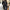Oversized Lapel Collar Coat for Women - Wide Sleeve - Image 4