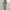 V-Neck Midi Dress for women - Knot Front Tulip Hem - Short Sleeve Wrap Dress - Image 1