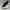 Casual Lace-up Sneakers for men - Striped Detail Low Top - Image 4