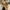 Trench Coat for Men - Double-Breasted - Image 4