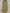 Loose Fit Midi Dress for Women - V-Neck Pleated - Image 2