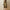 Long Button Front Coat for Women - A-Line - Image 4
