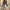 Bomber Jacket for Women - Oversized - Image 6
