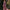 Floral Maxi Dress for Women - Long Sleeve V-Neck - Image 1