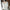 Knit V-Neck Sweater for Women - Long Sleeve - Image 12