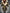 Shearling Aviator Jacket for Women - Long Sleeve - Image 1