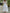 Button-Down Maxi Shirt Dress for Women - Long Sleeve Collared - Oversized Fit Roll-Up Sleeve - Image 2