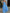 Pleated A-Line Maxi Dress for Women - Halter Strappy - Image 1