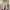 Blazer Jacket for Women - Long Sleeve - Image 6