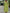 Button-Down Maxi Shirt Dress for Women - Long Sleeve Collared - Oversized Fit Roll-Up Sleeve - Image 5