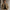 Corduroy Jacket for Men - Notch Lapel - Image 1