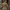 Corduroy Jacket for Men - Notch Lapel - Image 2