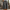 Wide Leg Culottes for Women - High Waist Elastic Waist - Image 2