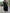 Button-Down Maxi Shirt Dress for Women - Long Sleeve Collared - Oversized Fit Roll-Up Sleeve - Image 4